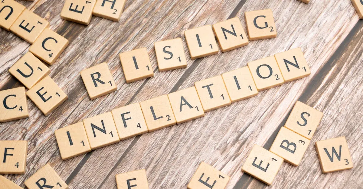 Wat betekent de term inflatie precies